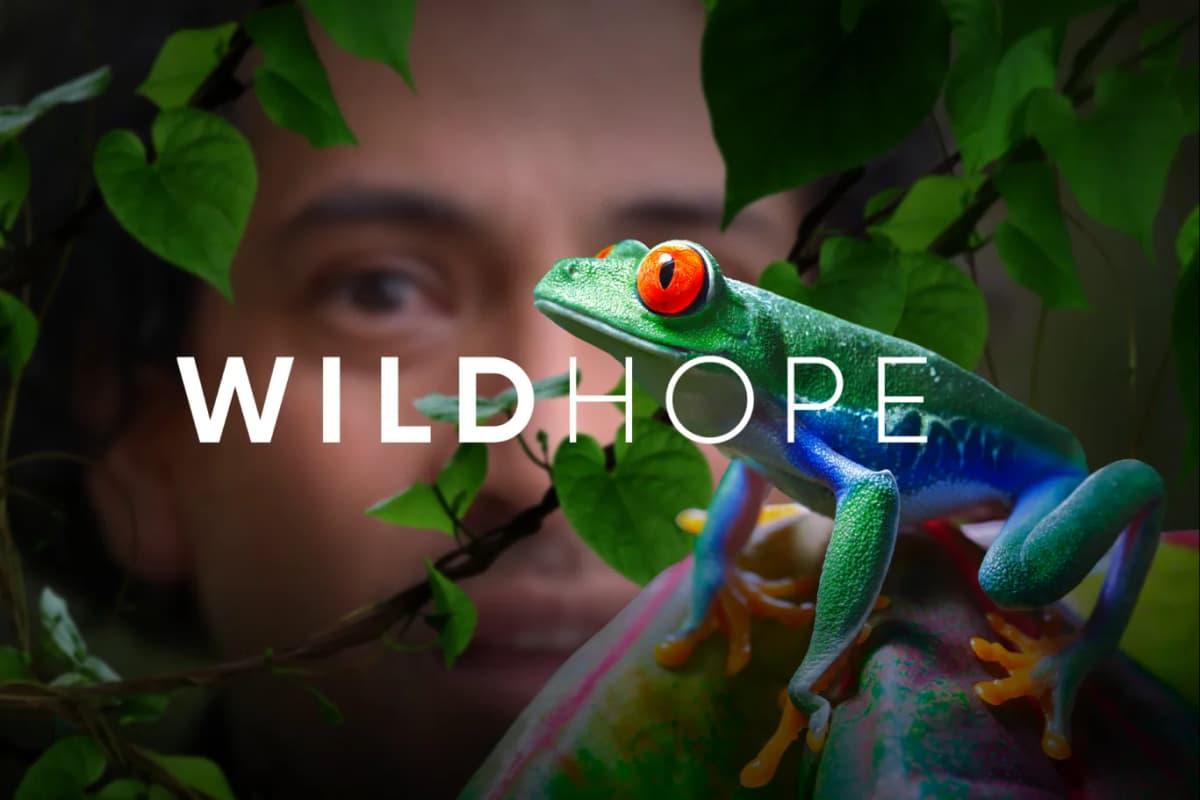 WildHope Hero Image