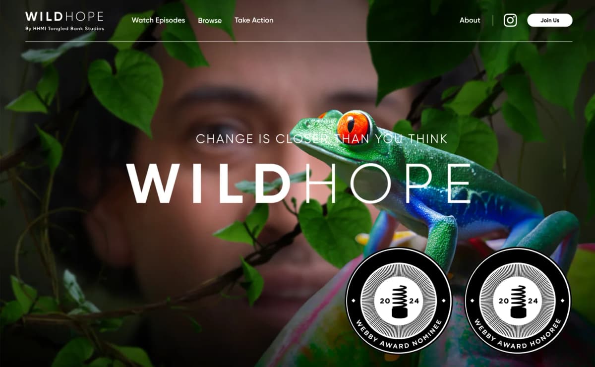 WildHope Webby Logos