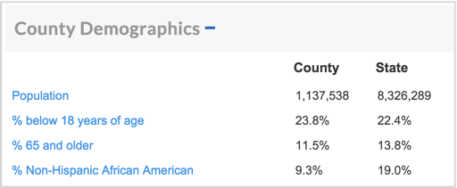 County Demographics