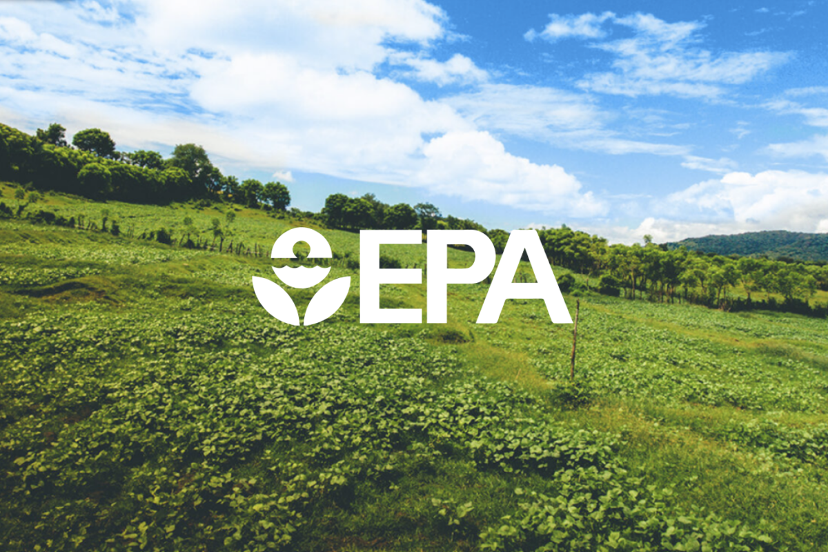 Unifying EPA’s Web Presence to Protect the Environment reveal image