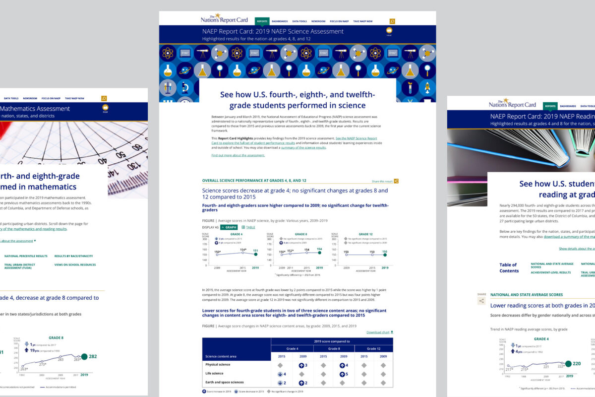 Visualizing Education Data for the Nation’s Report Card reveal image