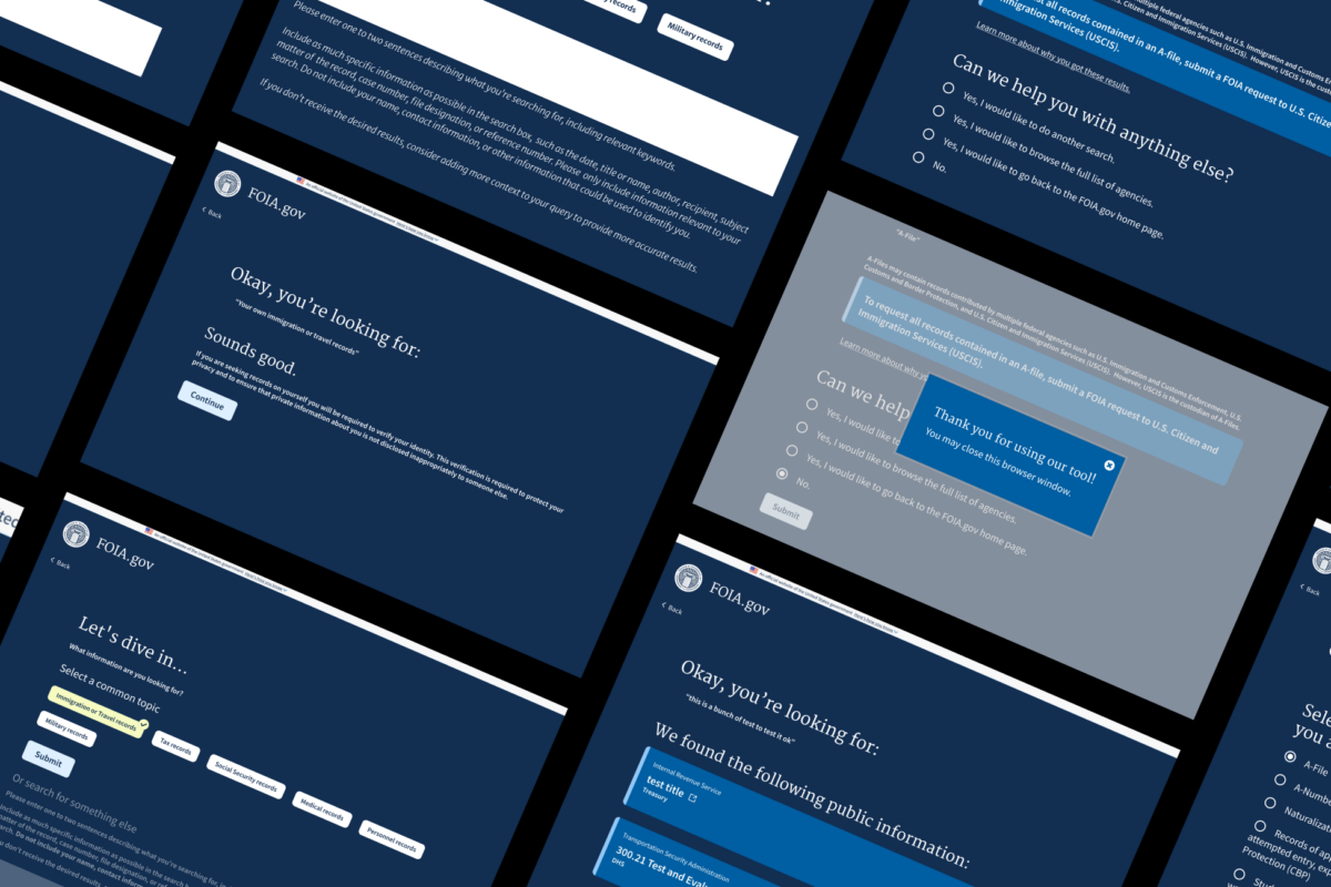 Harnessing AI and Machine Learning to Improve Government Services reveal image
